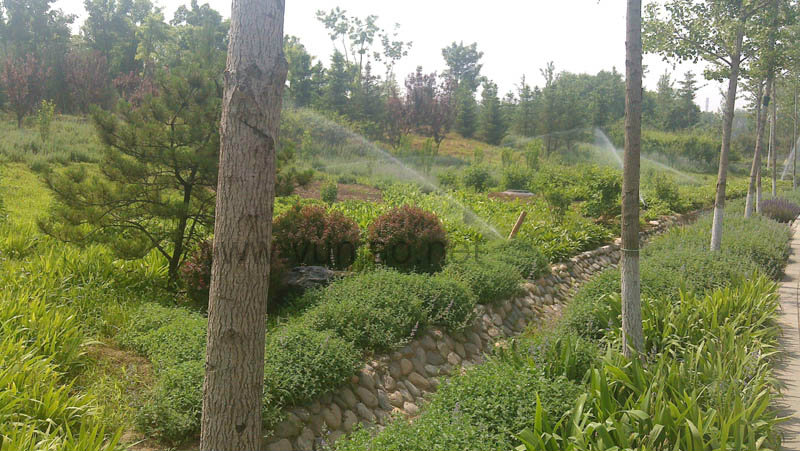 八家郊野公园灌溉工程